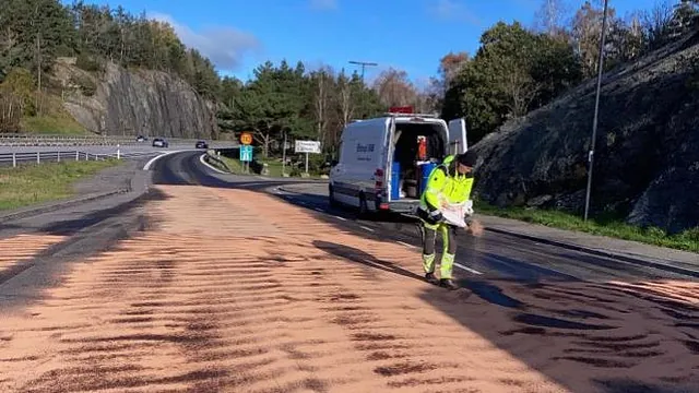 Beställ oljesanering från enropi sanering